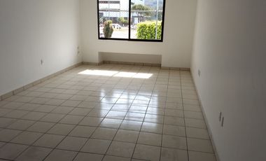 RENTO EDIFICIO DE 500M2, EN CHAPUL ORIENTE, DE 3 NIVELES, CON 11 OFICINAS, 9 BAÑOS.