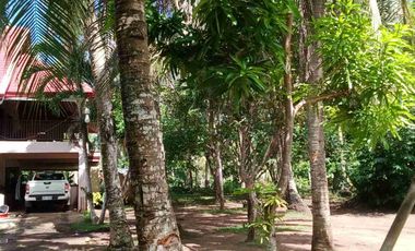 For sale!! Beach Lot with spacious House... 

Lot area : 2,809 Sam
House area: 60x40 
11 rooms
Good for investment:
Rental 
Residential