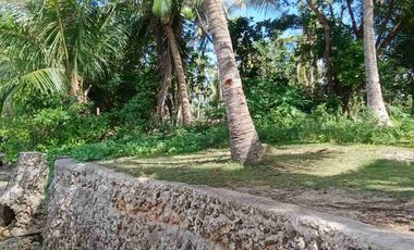 For sale!! Beach Lot with spacious House... 

Lot area : 2,809 Sam
House area: 60x40 
11 rooms
Good for investment:
Rental 
Residential