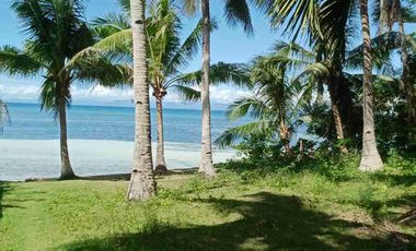 For sale!! Beach Lot with spacious House... 

Lot area : 2,809 Sam
House area: 60x40 
11 rooms
Good for investment:
Rental 
Residential