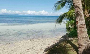 For sale!! Beach Lot with spacious House... 

Lot area : 2,809 Sam
House area: 60x40 
11 rooms
Good for investment:
Rental 
Residential