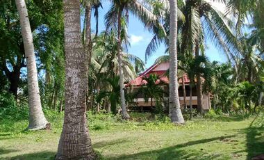 For sale!! Beach Lot with spacious House... 

Lot area : 2,809 Sam
House area: 60x40 
11 rooms
Good for investment:
Rental 
Residential