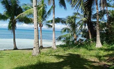 For sale!! Beach Lot with spacious House... 

Lot area : 2,809 Sam
House area: 60x40 
11 rooms
Good for investment:
Rental 
Residential