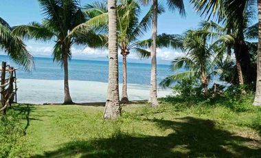 For sale!! Beach Lot with spacious House... 

Lot area : 2,809 Sam
House area: 60x40 
11 rooms
Good for investment:
Rental 
Residential