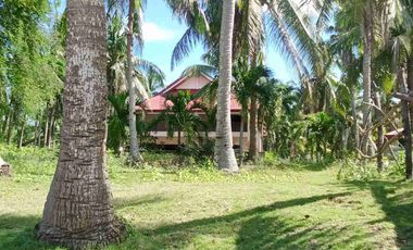 For sale!! Beach Lot with spacious House... 

Lot area : 2,809 Sam
House area: 60x40 
11 rooms
Good for investment:
Rental 
Residential