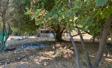 Vendo casa y parcela en Palmilla