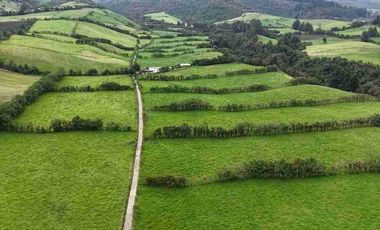 Hacienda Ganadera en venta 57 Ha en Tambillo