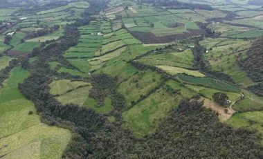 Hacienda Ganadera en venta 57 Ha en Tambillo