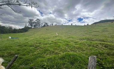Hacienda Ganadera en venta 57 Ha en Tambillo