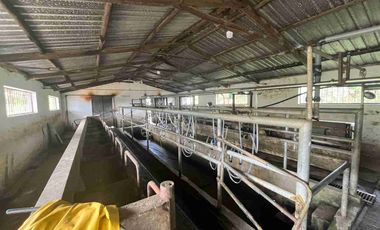 Hacienda Ganadera en venta 57 Ha en Tambillo