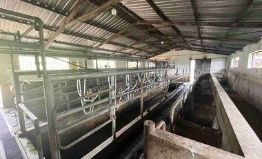 Hacienda Ganadera en venta 57 Ha en Tambillo