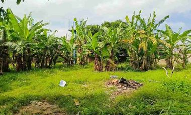 termurah!! bumbak umalas kerobokan!! 38 are view sawah