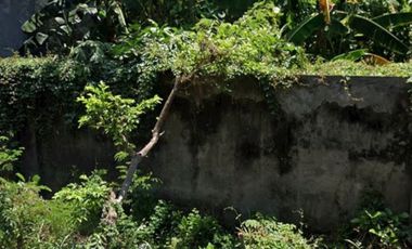 Dijual Tanah Sidosermo Indah 100 mtr ke Raya Prapen,dkt jemursari,tenggilis,nginden