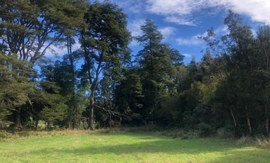 ¡Oportunidad! Venta ultima parcela, sector Chamiza, Puerto Montt.