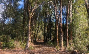 ¡Oportunidad! Venta ultima parcela, sector Chamiza, Puerto Montt.