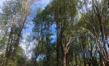 ¡Oportunidad! Venta ultima parcela, sector Chamiza, Puerto Montt.