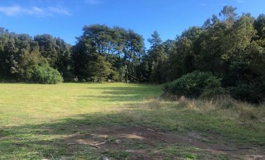 ¡Oportunidad! Venta ultima parcela, sector Chamiza, Puerto Montt.
