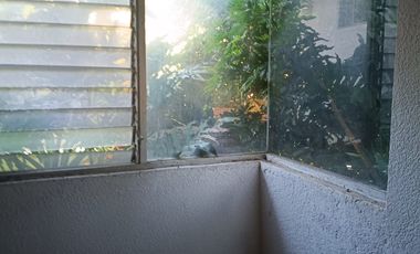 CASA AMPLIA EN PEDREGAL DE LAS FUENTES