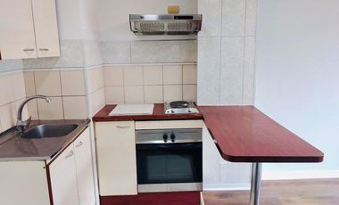 ARRIENDO DPTO 1 DORMITORIO 1 BAÑO / METRO MONEDA