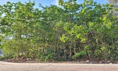 Hermosa y moderna casa nueva en Vía Cumbres / Beautiful New Home