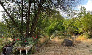 Casa grande en Santa Sofía de Lo Cañas