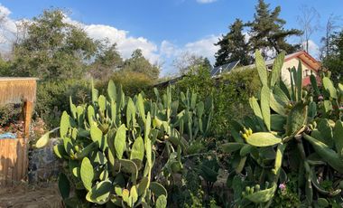 Casa grande en Santa Sofía de Lo Cañas