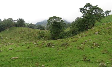 VENDO FINCA EN SAN ANTONIO DE TEQUENDAMA - LA VICTORIA