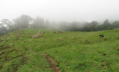 VENDO FINCA EN SAN ANTONIO DE TEQUENDAMA - LA VICTORIA