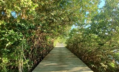 Impresionante casa frente al mar / Impressive beachfront home