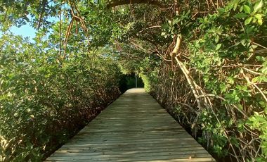 Impresionante casa frente al mar / Impressive beachfront home
