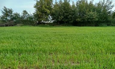 Parcela en Venta Río Ñuble - Condominio Los Maitenes, Chillán.