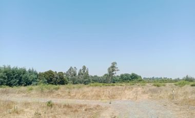 Parcela en Venta Río Ñuble - Condominio Los Maitenes, Chillán.