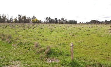 Parcela en Venta Río Ñuble - Condominio Los Maitenes, Chillán.