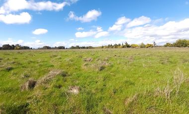 Parcela en Venta Río Ñuble - Condominio Los Maitenes, Chillán.