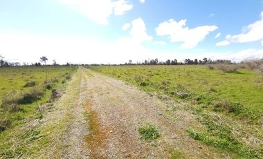 Parcela en Venta Río Ñuble - Condominio Los Maitenes, Chillán.