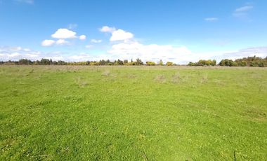 Parcela en Venta Río Ñuble - Condominio Los Maitenes, Chillán.