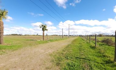 Parcela en Venta Río Ñuble - Condominio Los Maitenes, Chillán.