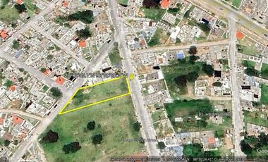 TERRENO EN RENTA – ACAYUCA, HIDALGO