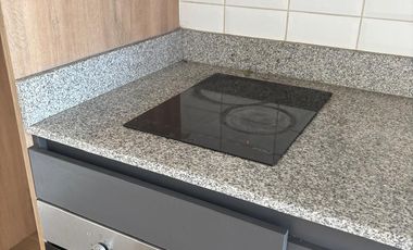 SE ARRIENDA EN ZAÑARTU 1905