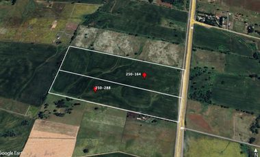 CAMPO COMERCIAL INDUSTRIAL LAUTARO