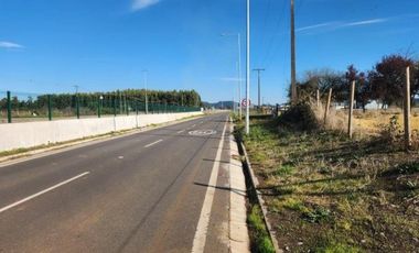 CAMPO COMERCIAL INDUSTRIAL LAUTARO