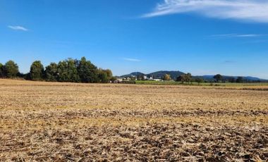 CAMPO COMERCIAL INDUSTRIAL LAUTARO