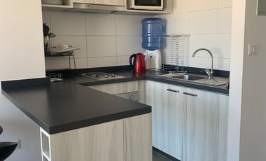 Arrendamos funcional depto en Lomas de Montemar