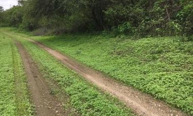 HACIENDA-PENINSULA DE SANTA ELENA LAS BALSAS