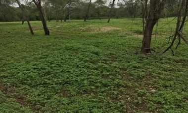 HACIENDA-PENINSULA DE SANTA ELENA LAS BALSAS