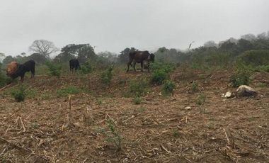 HACIENDA-PENINSULA DE SANTA ELENA LAS BALSAS