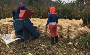 HACIENDA-PENINSULA DE SANTA ELENA LAS BALSAS