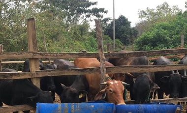 HACIENDA-PENINSULA DE SANTA ELENA LAS BALSAS
