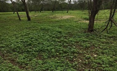 HACIENDA-PENINSULA DE SANTA ELENA LAS BALSAS