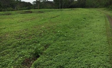 HACIENDA-PENINSULA DE SANTA ELENA LAS BALSAS